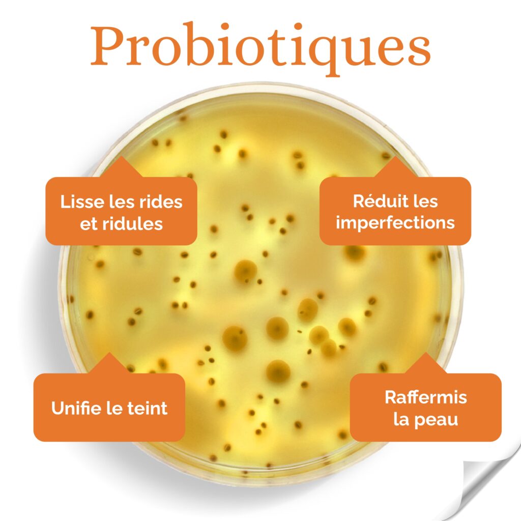 Principes Actifs - Probiotiques_page-0001